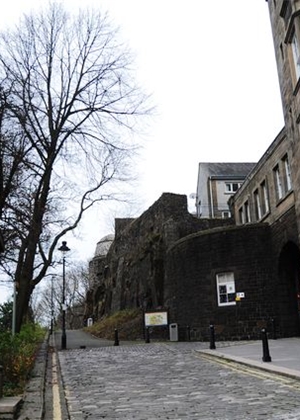 斯特靈大學(xué)