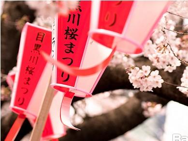 一幅圖告訴你日本留學的學習規(guī)劃